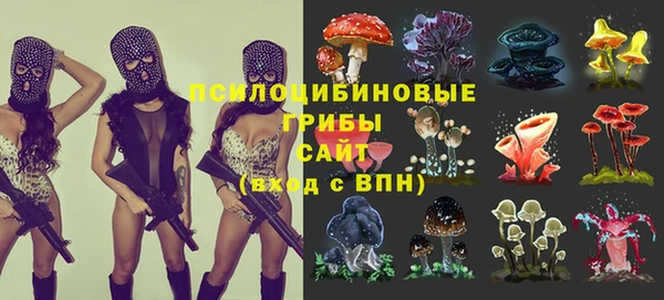кокс Тавда