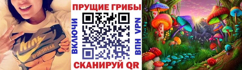 Галлюциногенные грибы GOLDEN TEACHER  дарнет шоп  Салаир 